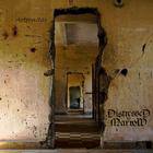 Distressed To Marrow : Aeternitas